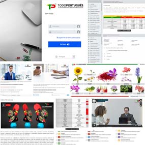 curso-portugues-plataforma-elearning-online-c1-c2-m